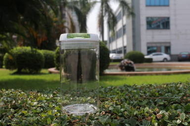 FDA aprovou o recipiente plástico reciclável com tampa Lockable BPA livre